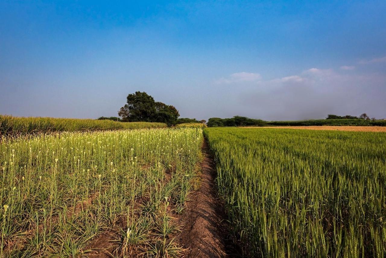 Saffronstays Happy Fields, Pune - Luxury Farmstay With Farm To Table Food Exteriör bild